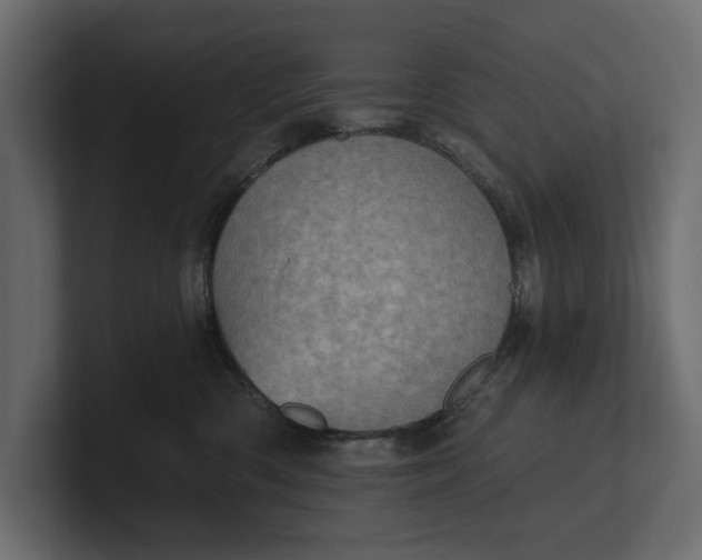 X0000100470426200806271145