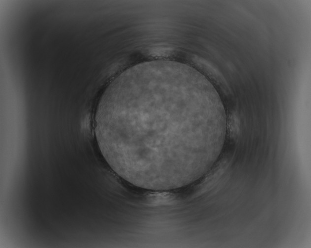 X0000100470428200806271145