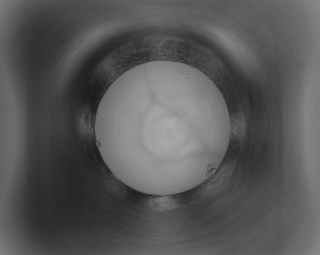 X0000100470431200806271145