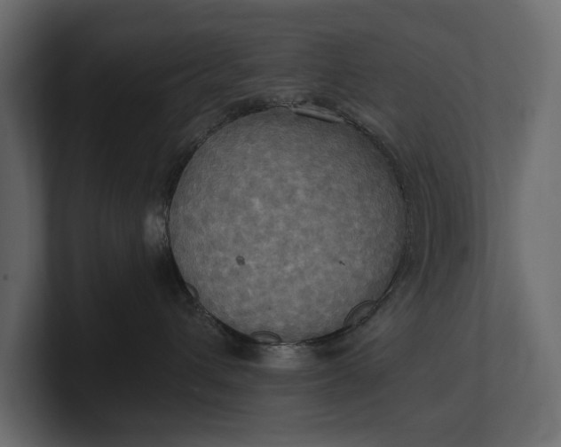 X0000100470432200806271145