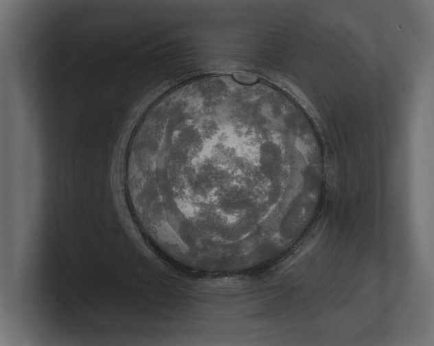 X0000100470433200806271145