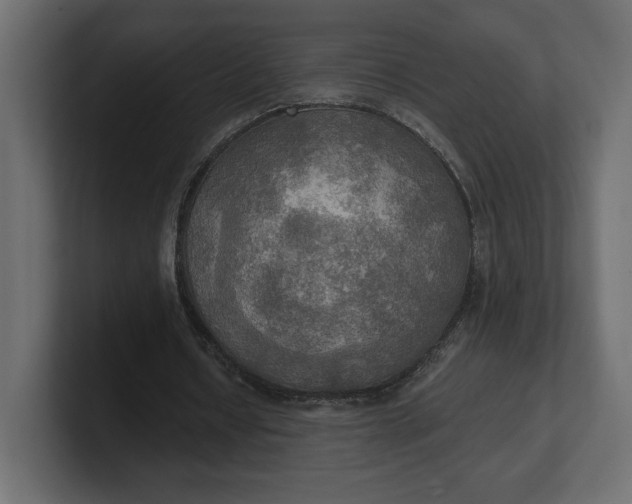 X0000100470434200806271145