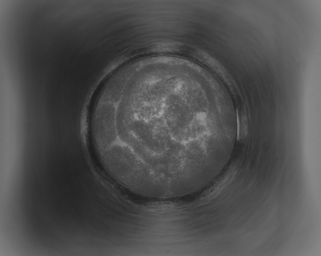 X0000100470435200806271145