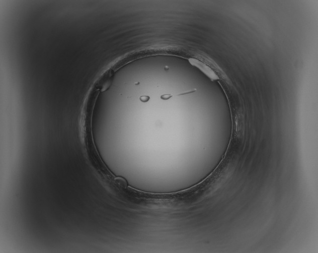 X0000100470436200806271145