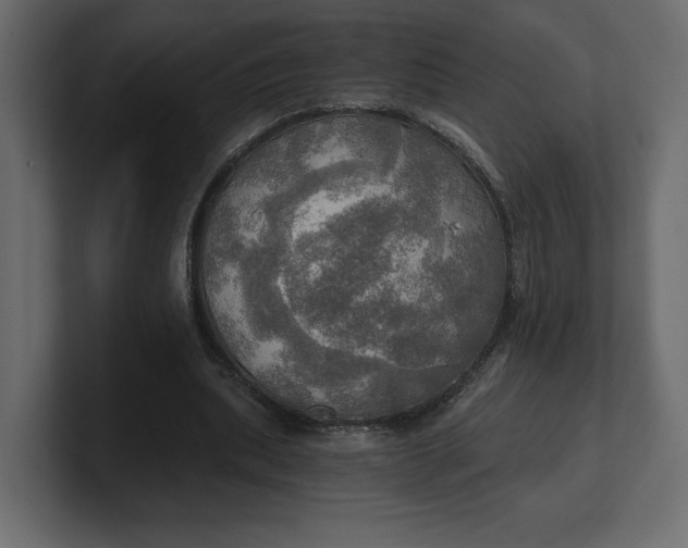 X0000100470439200806271145