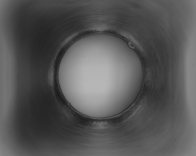 X0000100470440200806271145