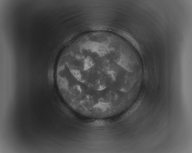 X0000100470441200806271145