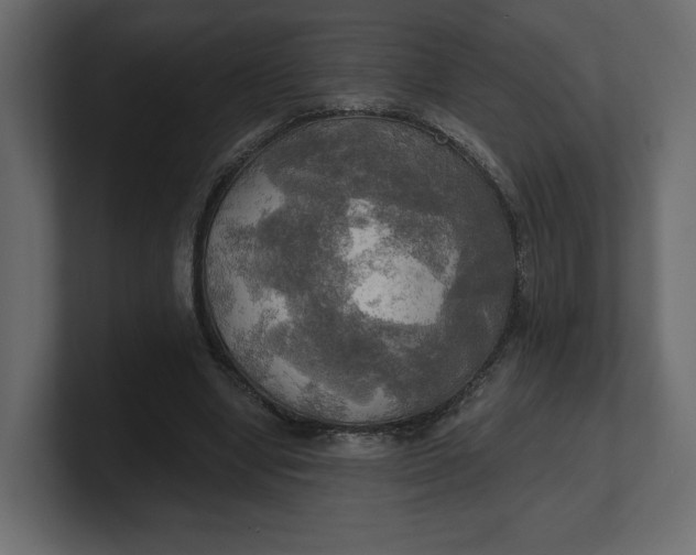 X0000100470442200806271145