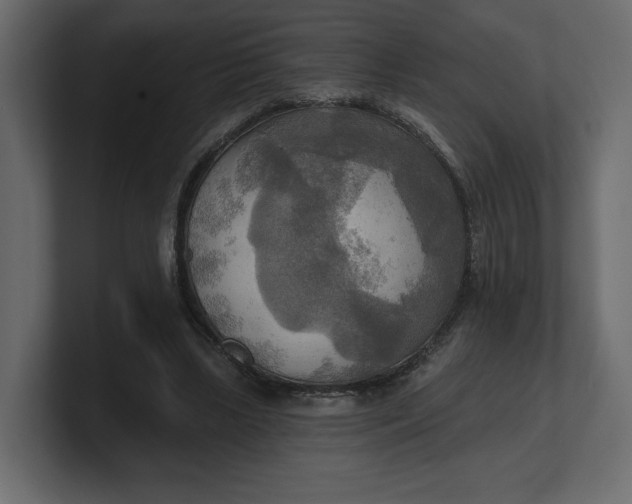 X0000100470443200806271145