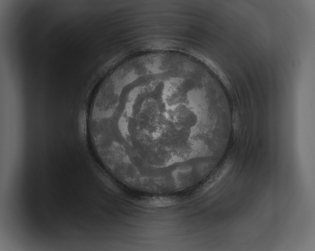 X0000100470445200806271145