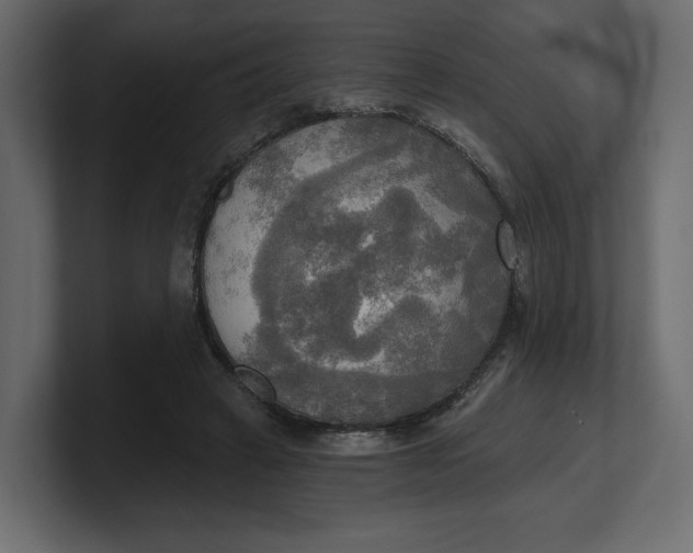 X0000100470449200806271145