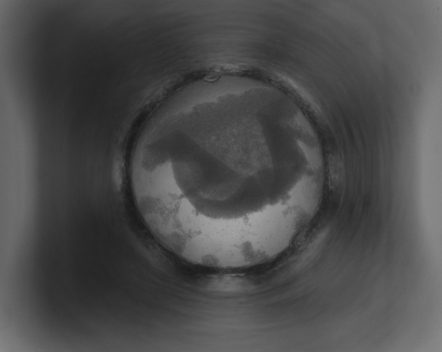 X0000100470451200806271145