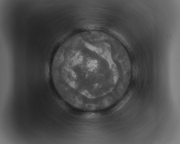 X0000100470453200806271145