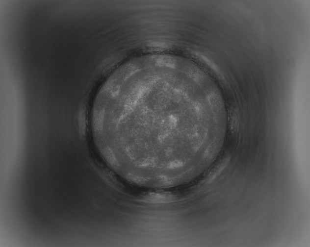 X0000100470455200806271145