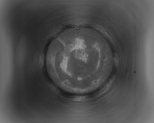 X0000100470458200806271145