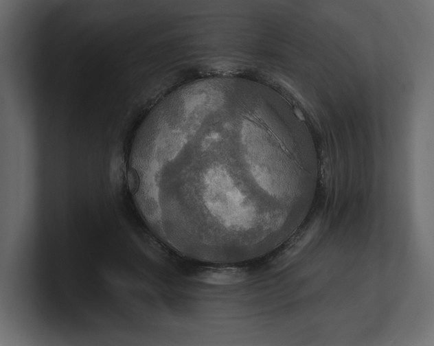 X0000100470459200806271145