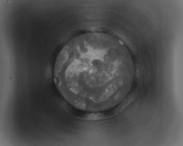 X0000100470461200806271145