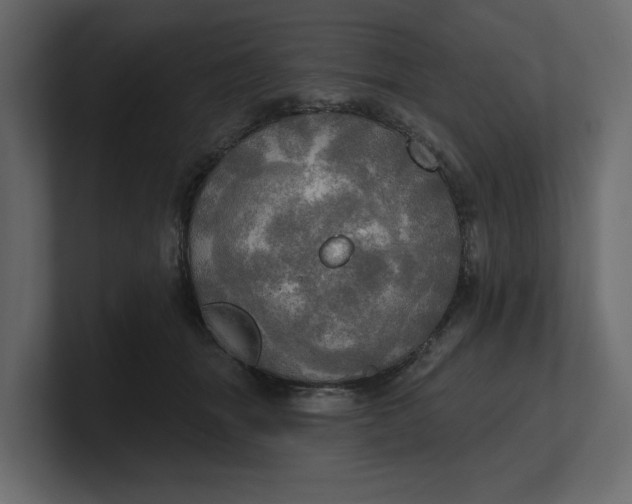 X0000100470463200806271145