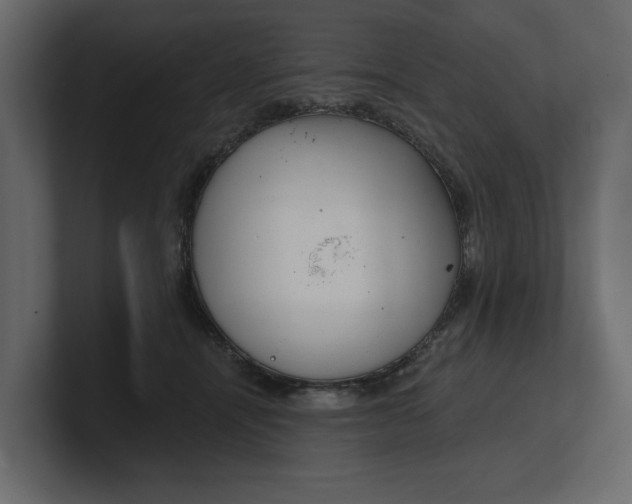 X0000100470464200806271145