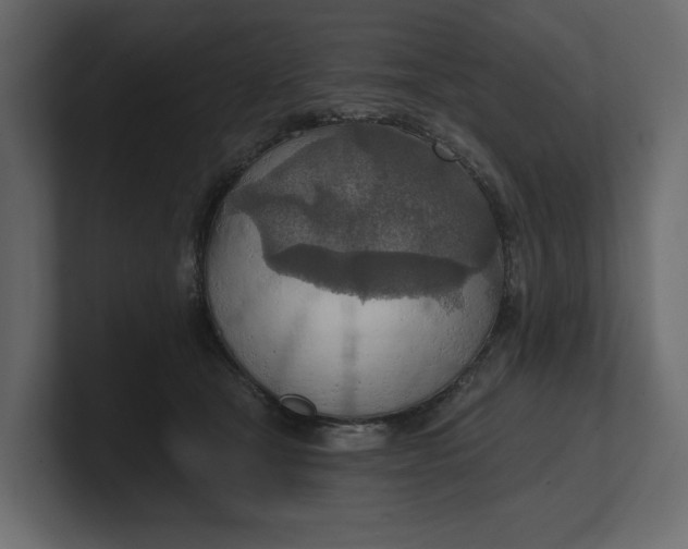 X0000100470465200806271145