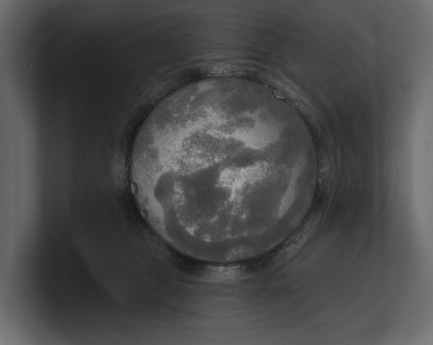 X0000100470469200806271145