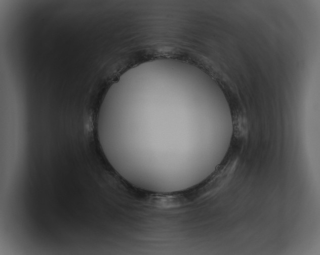 X0000100470472200806271145