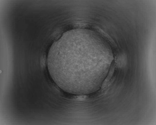 X0000100470474200806271145