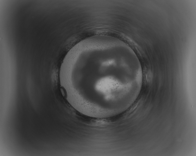 X0000100470475200806271145