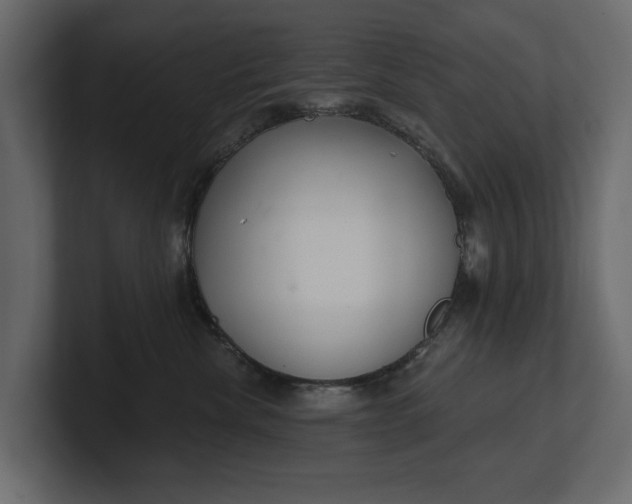 X0000100470476200806271145