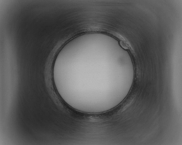 X0000100470481200806271145