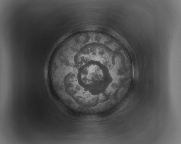 X0000100470483200806271145