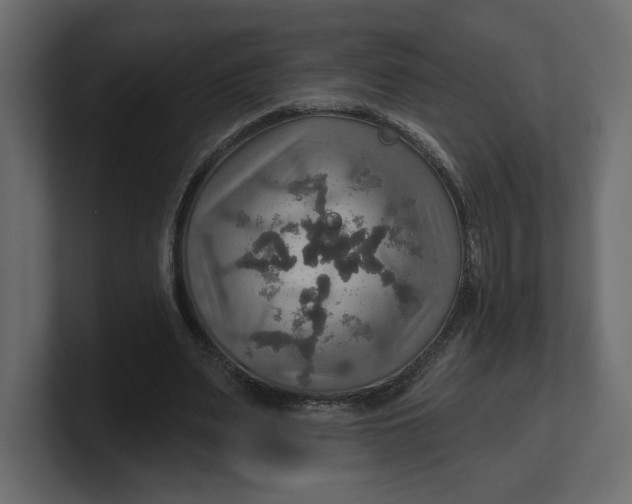 X0000100470487200806271144