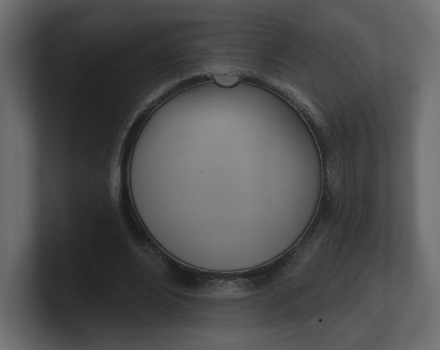 X0000100470488200806271144