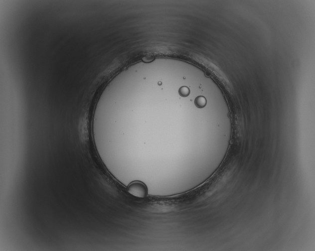 X0000100470489200806271144