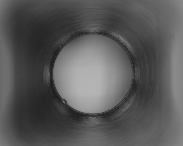 X0000100470493200806271144