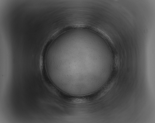 X0000100470494200806271144