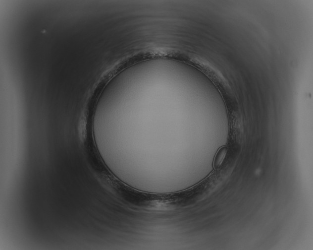 X0000100470496200806271144