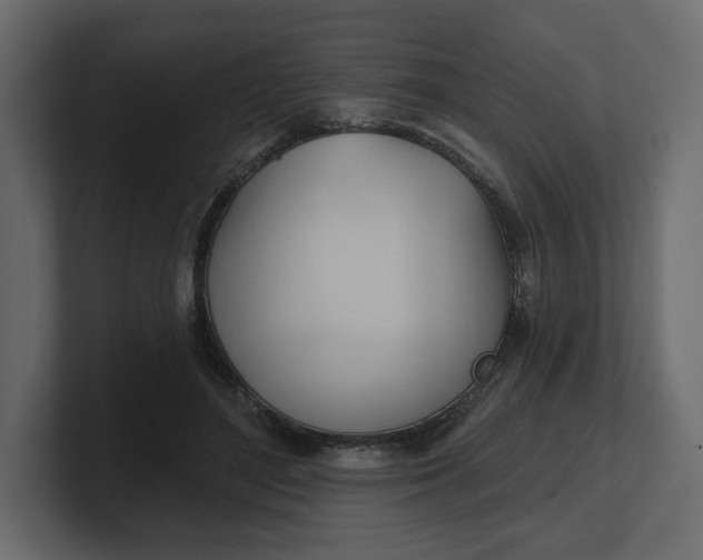 X0000100470500200806271144