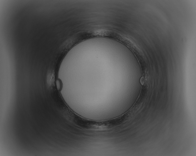 X0000100470502200806271144