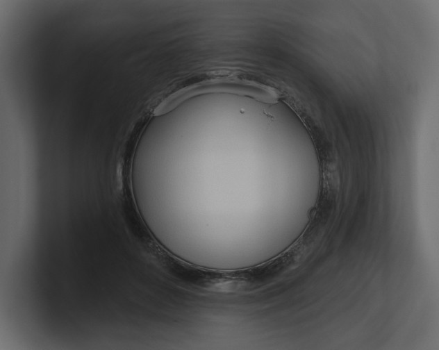 X0000100470504200806271144