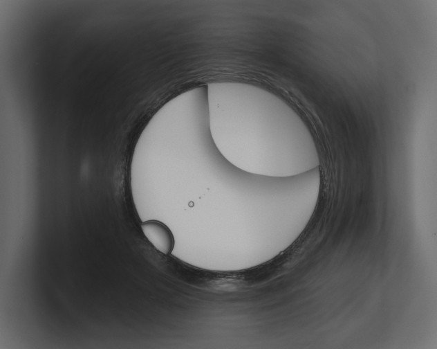 X0000100470505200806271144