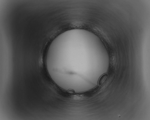 X0000100470508200806271144