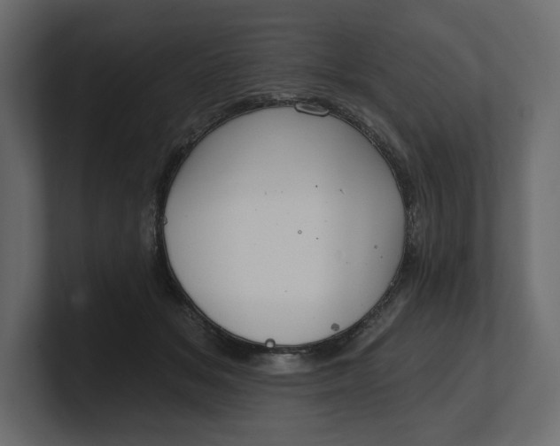 X0000100470509200806271144