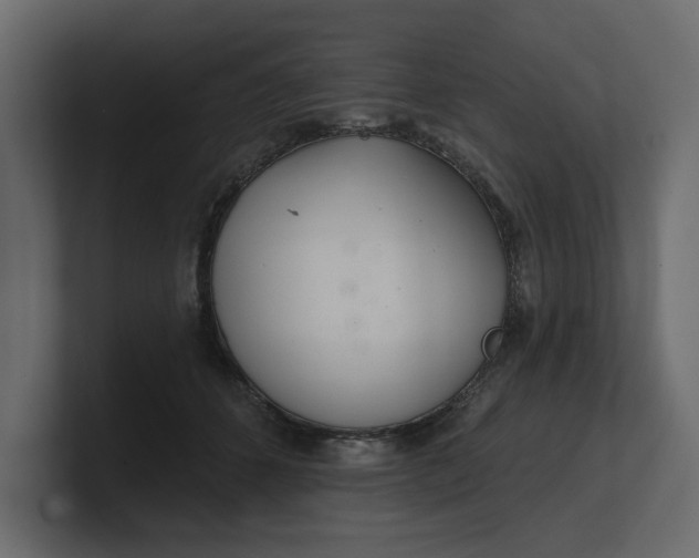 X0000100470512200806271144