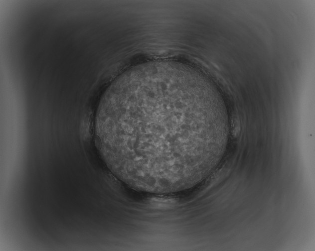 X0000100470515200806271144