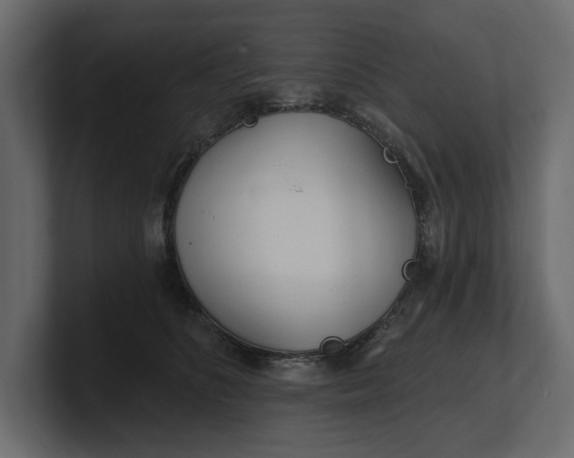 X0000100470516200806271144