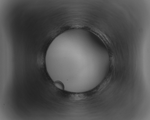 X0000100470517200806271144