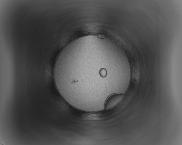 X0000100470518200806271144