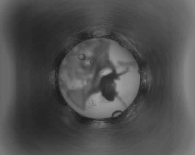 X0000100470519200806271144