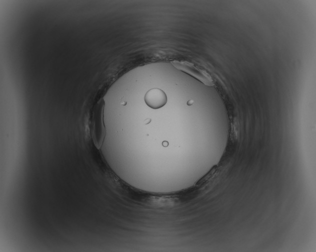 X0000100470520200806271144